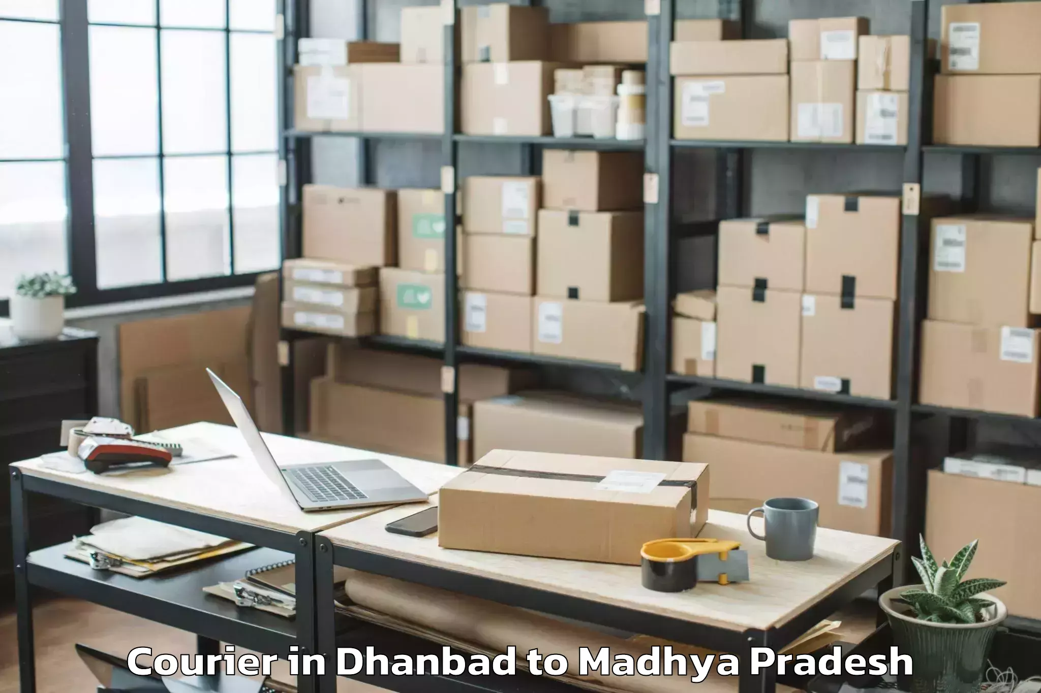 Get Dhanbad to Harpalpur Courier